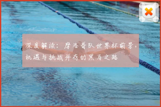 深度解读:摩洛哥队世界杯前景,机遇与挑战并存的黑马之路